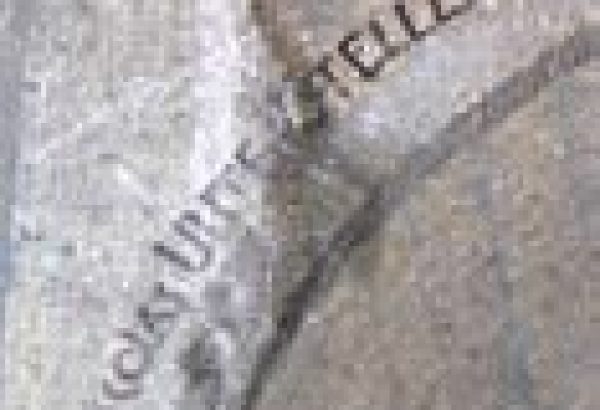 Détail des fresque d'Untersteller